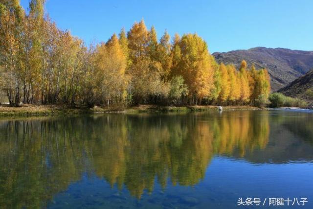 紅塵看破了,不過是浮沉;美麗看破了,不過是軀殼;生命看破了,不過是無常!