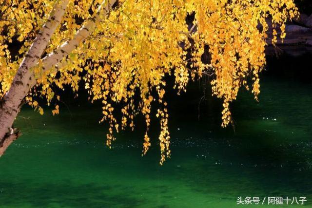 紅塵看破了,不過是浮沉;美麗看破了,不過是軀殼;生命看破了,不過是無常!
