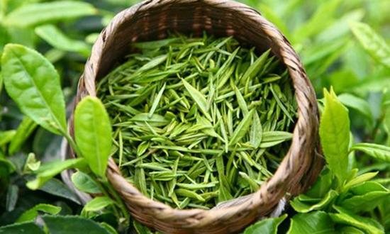 老中醫推薦的16種消暑美食夏天照著吃就對了!