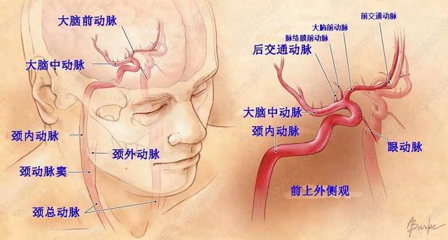 看不清東西？ 竟是脖子上的血管生病了！