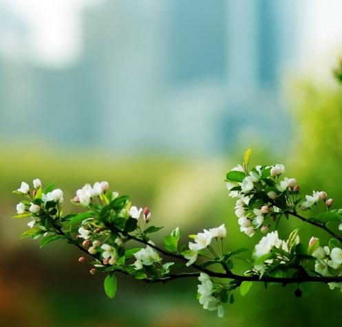 窮人說:有錢就是幸福,富人說:有閒就是幸福,母親說:孩子幸福就是幸福,病人說:能夠活著就是幸福
