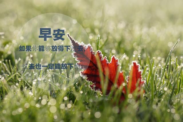 10句唯美早安語錄,心若不動,風又奈何