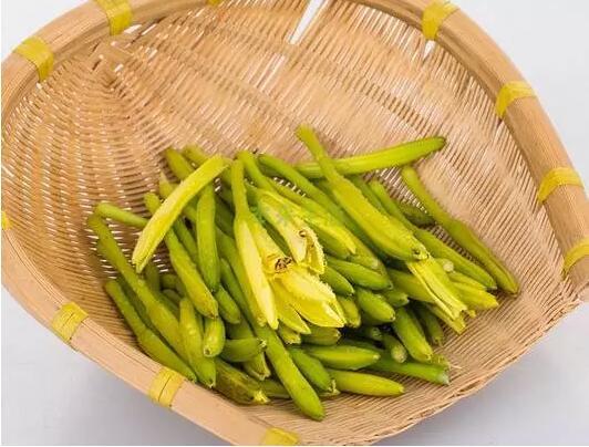 7種食物吃錯會成致命毒藥哪些食物吃錯反成致命毒藥?