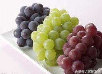 愛吃葡萄，千萬別錯過這篇文章，教你如何正確吃葡萄