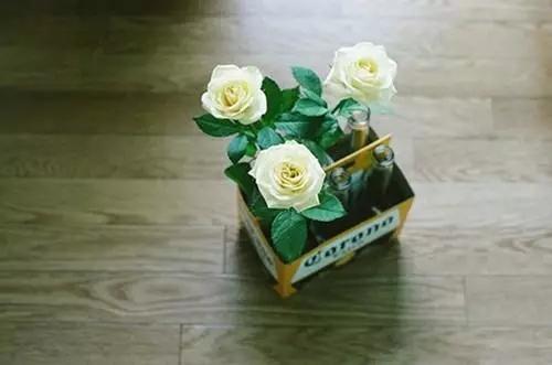 有些句子總是能夠精闢到噎死人