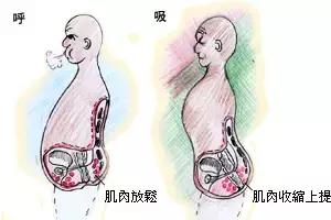 簡單易行的5個小動作，養好脾胃不會老！