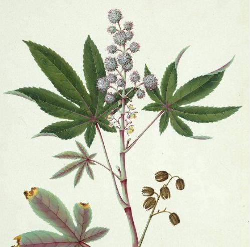 話多了,說你囉嗦;話少了,說你沉默;過好了,說你擺闊;過壞了,說你墮落;這,就是生活!