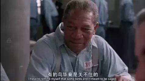 真正優秀的人,都敢對自己下狠手