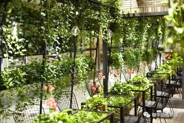 看一個茶屋的植物牆加園藝配飾，自然與空間的有機結合在這裡！