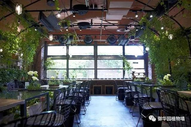 看一個茶屋的植物牆加園藝配飾，自然與空間的有機結合在這裡！