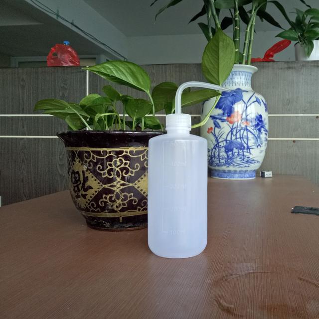 多肉怎麼養也養不肥,可能問題出在這!