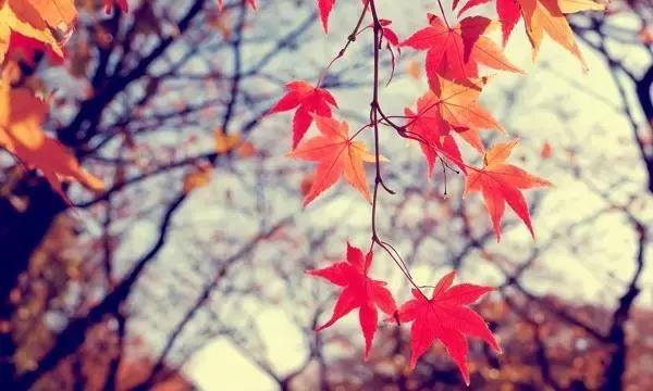 活著，為何這麼累