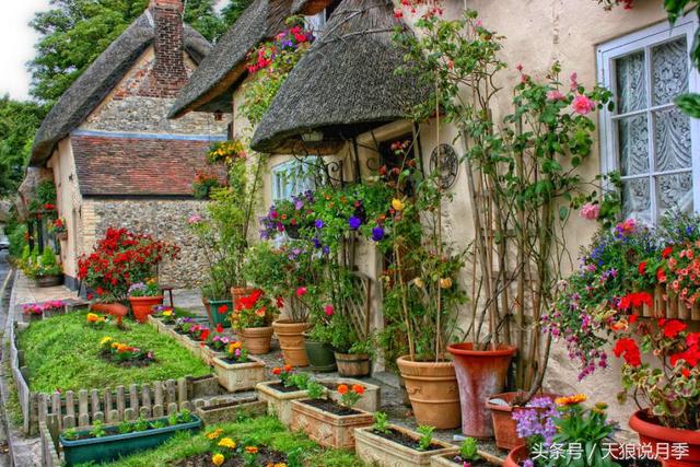 想要一個小院子，花開花落一輩子