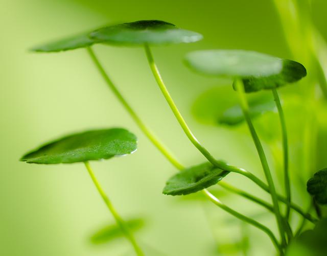 人到中年才明白：人生最大的痛苦不是辛苦，而是心苦