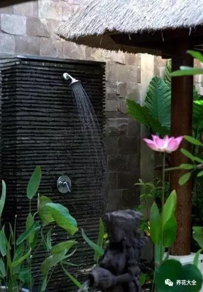 厲害了! 把衛生間種成了花園,就問你敢不敢!