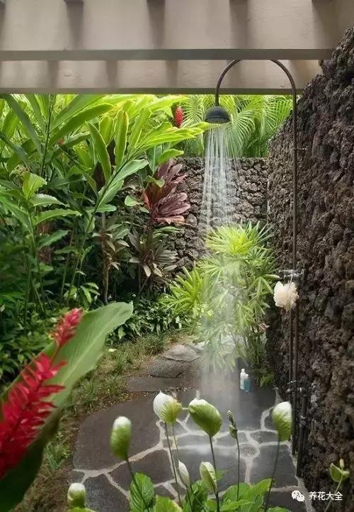 厲害了! 把衛生間種成了花園,就問你敢不敢!
