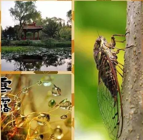 明日立秋,全家一定這樣吃,保你百病全消一年不生病!