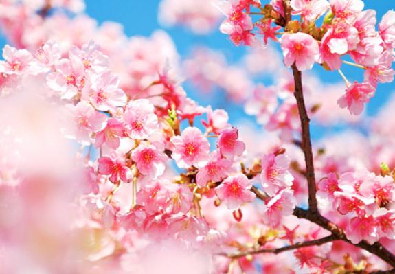 人生記住這幾點:珍惜點、小心點、忍著點、幫著點、看開點、努力點、寬心點