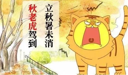 立秋後不作,不死! 小心吃這5種食物,人越濕老得越快