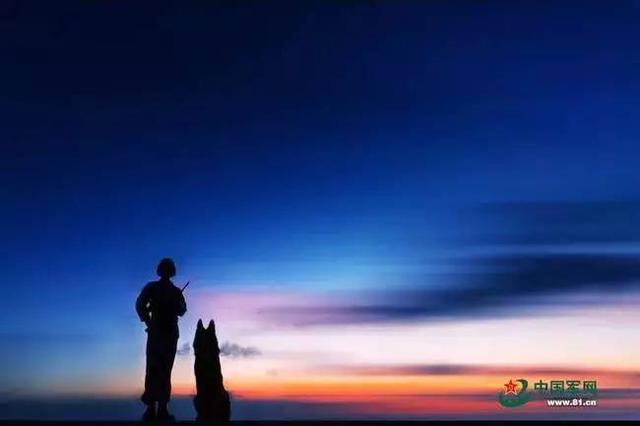 我居然開始崇拜一隻狗,不,是軍犬