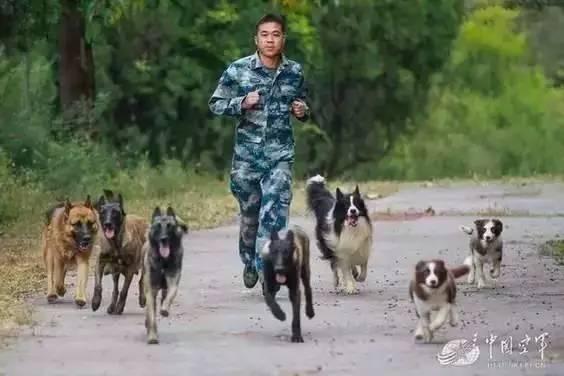 我居然開始崇拜一隻狗,不,是軍犬