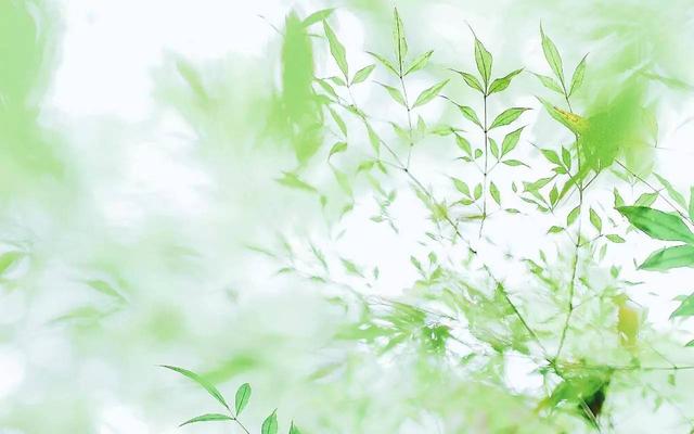 父親決定孩子飛多高,母親決定孩子飛多遠