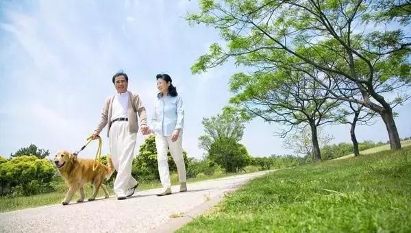 走路能治三高? 怎樣走? 走多少? 看這一條就夠了