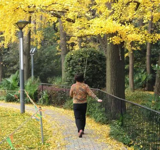 走路能治三高? 怎樣走? 走多少? 看這一條就夠了