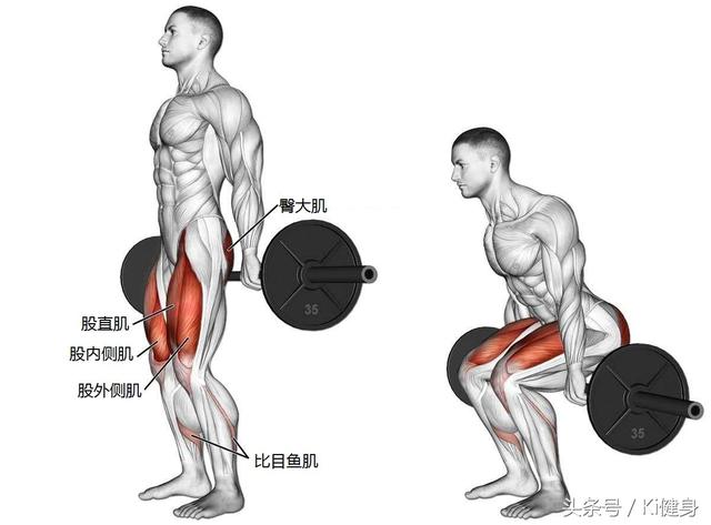 深蹲——絕對的王牌動作