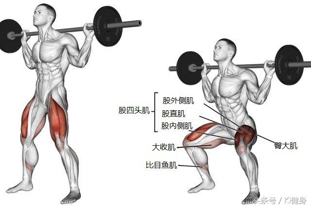 深蹲——絕對的王牌動作