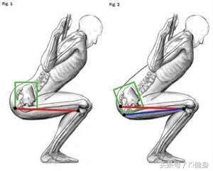 深蹲——絕對的王牌動作
