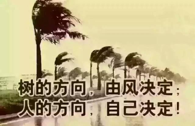 有口就有財,能說就能賺