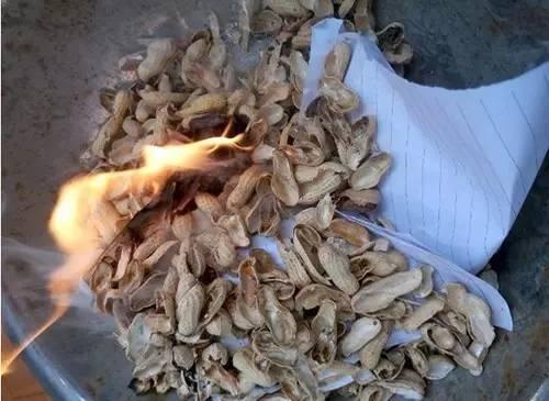 花生殼倒在花盆裡,長瘋管不住
