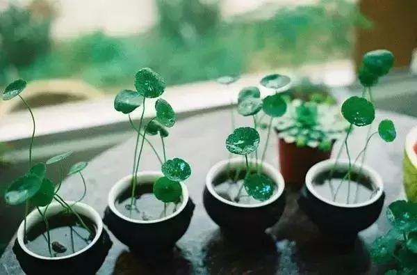 閒,要有滋味,忙,要有價值