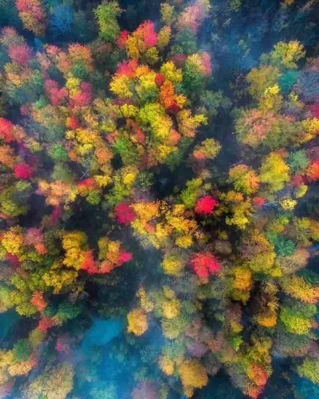 上帝的視角，最美的秋天