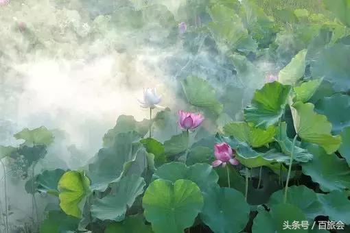 人過60,這四件事不可為,它會消耗你的能量,浪費你的生命!