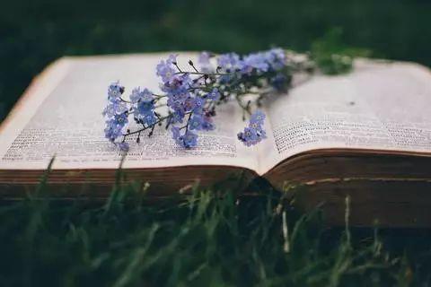 生命在閱讀中優雅高貴