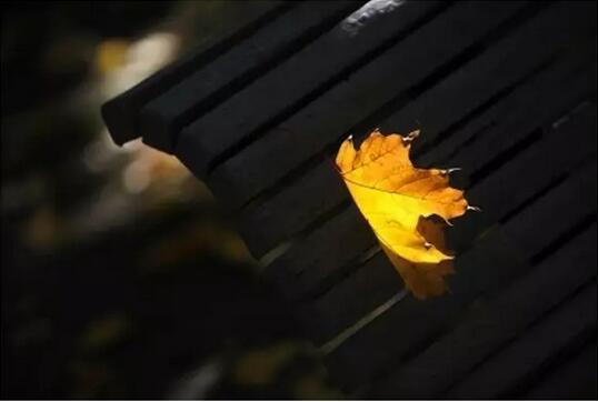 風一程,雨一程,人生一程又一程
