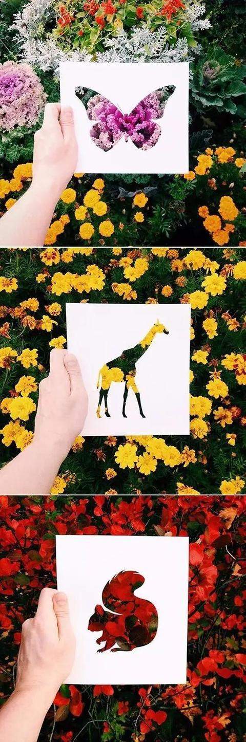 愛花的人,腦洞真的和別人不一樣!