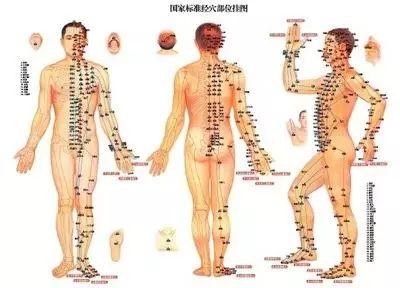 被忽略的中醫——中醫急救