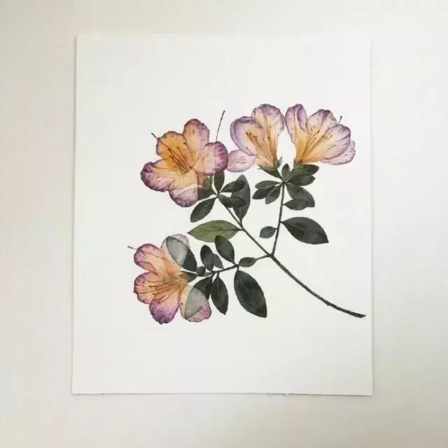 深愛，無聲