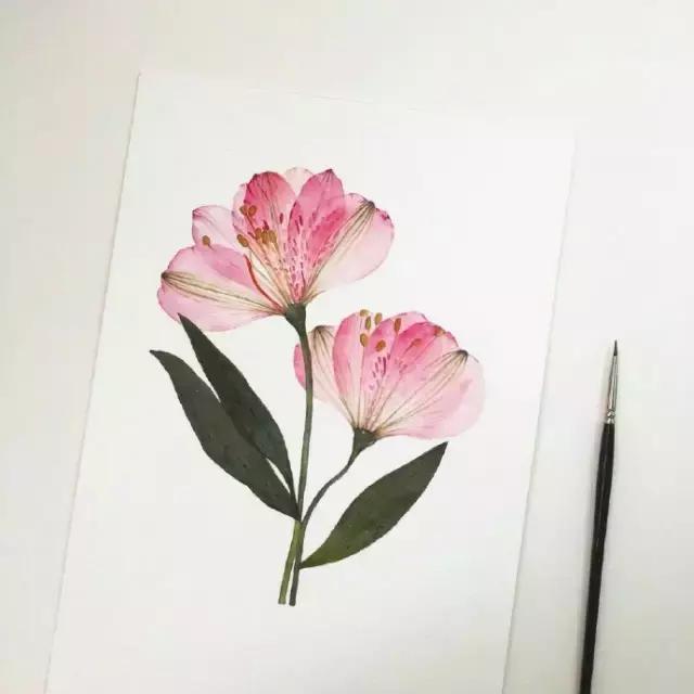深愛，無聲