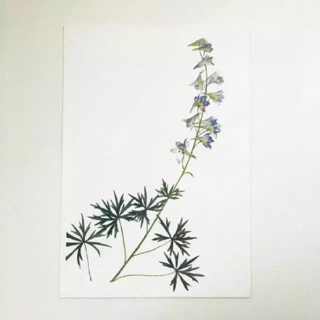 深愛，無聲