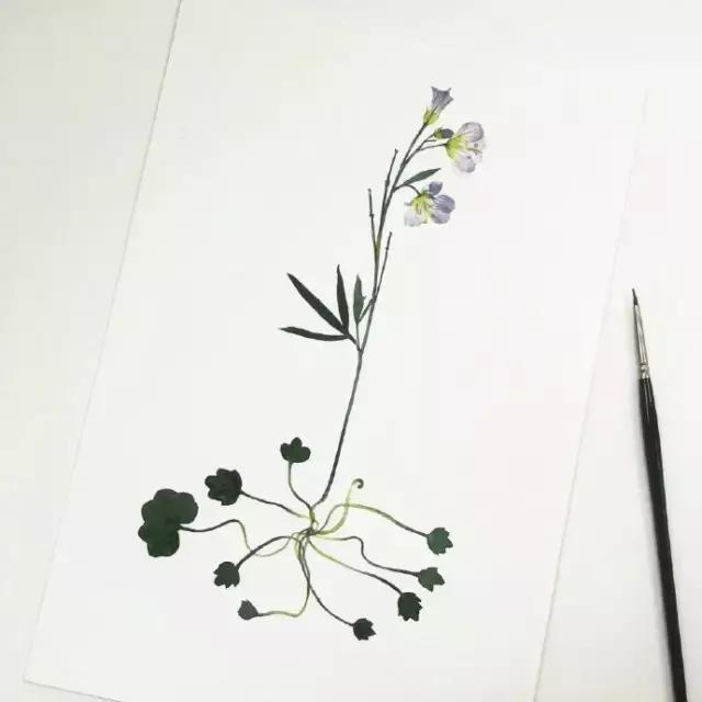 深愛，無聲