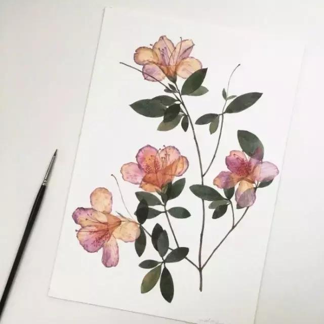 深愛，無聲