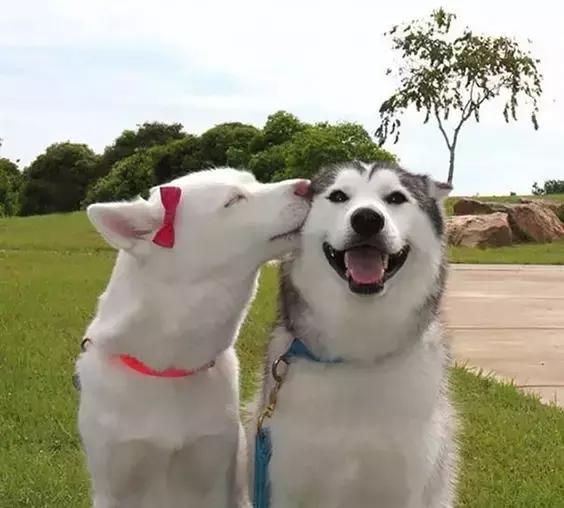 保持微笑,看看就懂……
