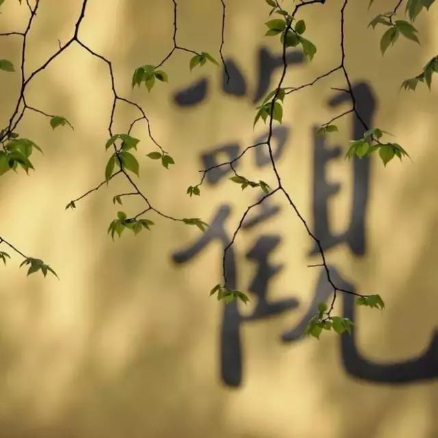 這一生,謝謝自己