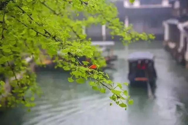 聆聽|午後的時光
