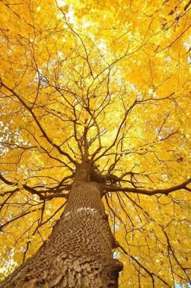 我在秋天裡，等風，也等你