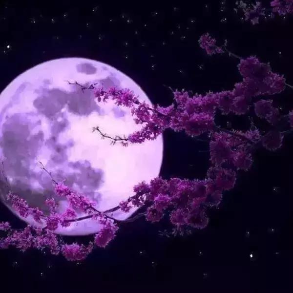 最美中秋,但願人長久,千里共嬋娟